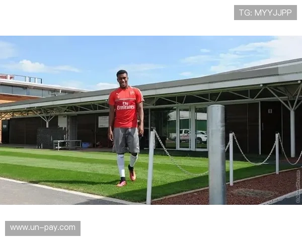 伊沃比：阿森纳球员常被过度关注与指责